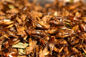 Knusprig geröstete Heimchen (Crickets) – keto-freundlicher Proteinsnack